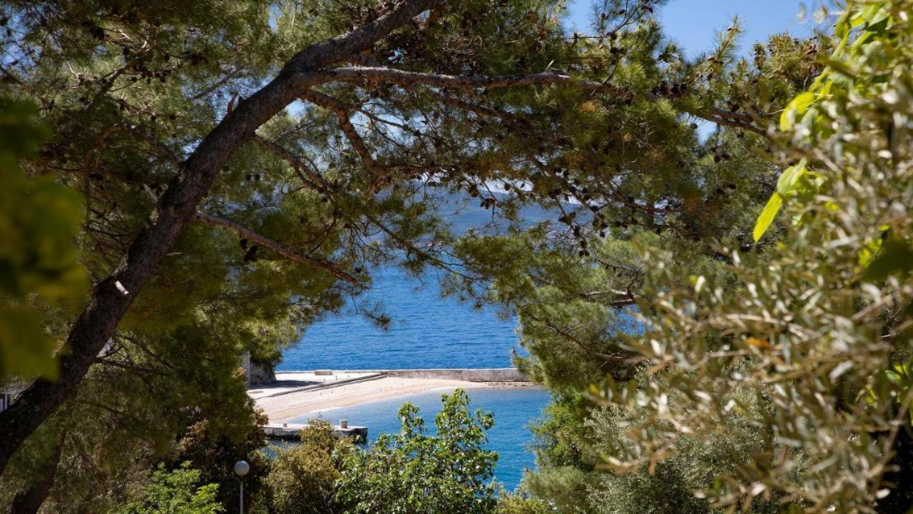 Sea House Shade, Pool & Jacuzzi - Privilege Point & Selce